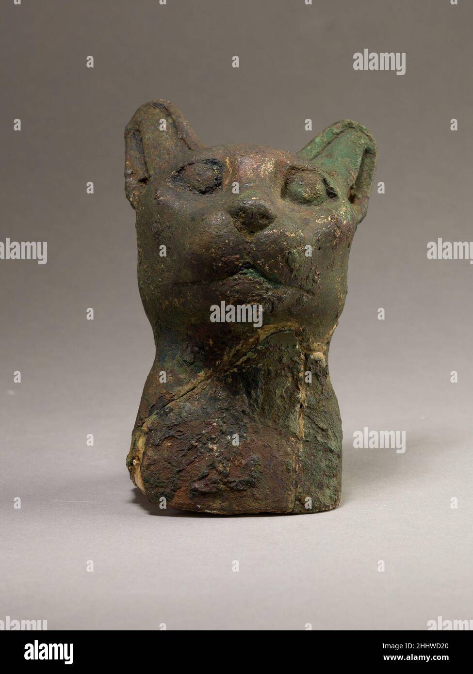 Tete De Chat 664 30 C B Periode Tardive Periode Ptolemeenne Le Chat Etait Sacre A La Deesse Bastet Et A Ete Offert Dans Des Sanctuaires Et Depose Dans Des Necropoles Animales Partout En Egypte Ce