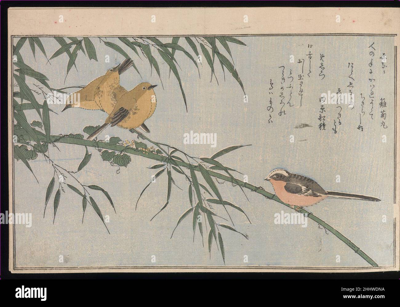 Myriad Birds: Picture Book of Playful verset (Momo chidori kyōka-awase) 1791 Kitagawa Utamaro Japanese.Myriad Birds: Picture Book of Playful verset (Momo chidori kyōka-awase).Kitagawa Utamaro (japonais, env.1754–1806).Japon.1791. Livres imprimés en bois (vol1 et 2) ; encre et couleur sur papier.Période Edo (1615–1868).Livres illustrés Banque D'Images