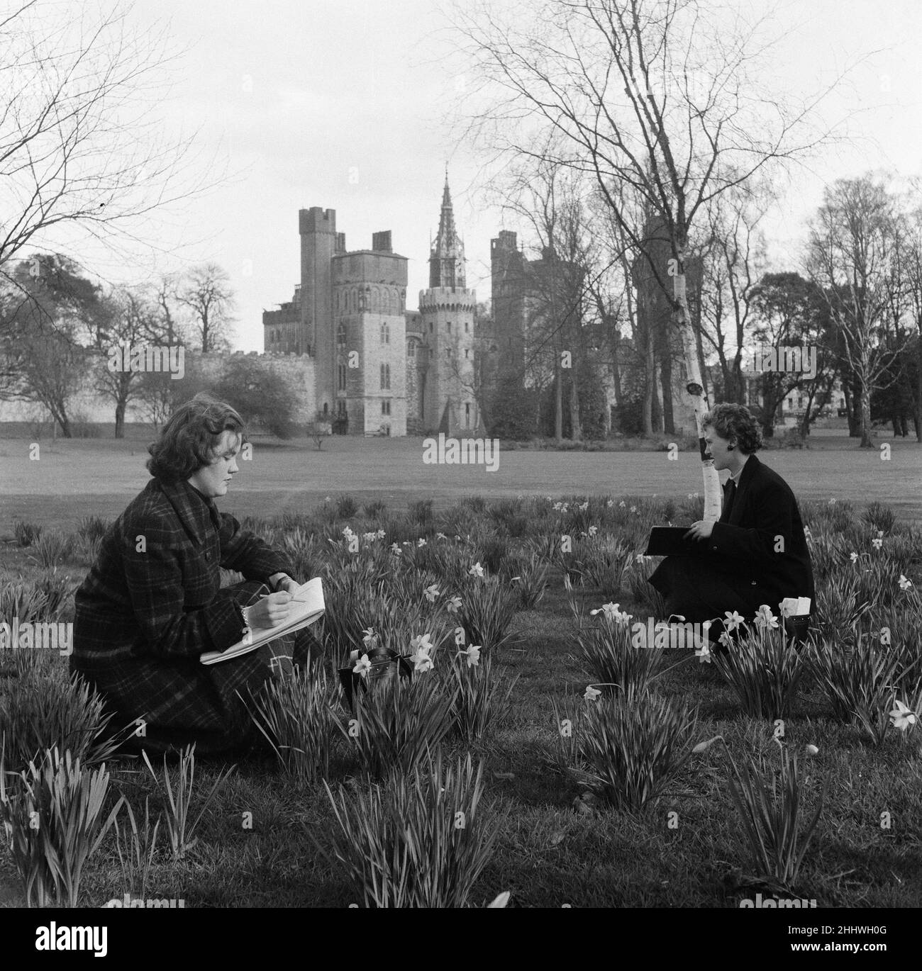 Fleurs printanières sur le terrain du château de Cardiff.29th mars 1954. Banque D'Images
