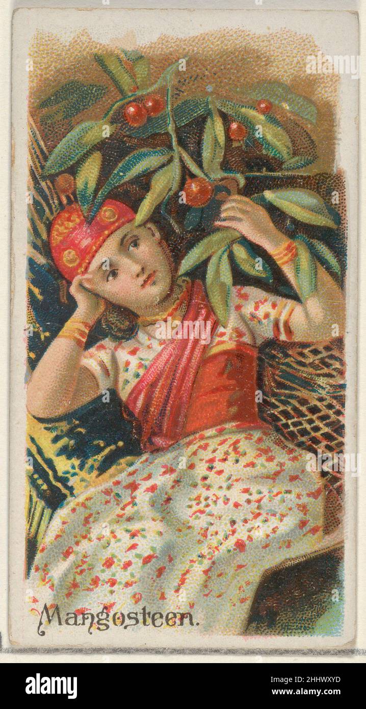 Mangosteen, de la série fruits (N12) pour Allen & Ginter cigarettes Brands 1891 émis par Allen & Ginter American Trade Cards de la série « fruits » (N12), émis en 1891 dans un jeu de 50 cartes pour promouvoir les cigarettes Allen & Ginter.Mangosteen, de la série fruits (N12) pour Allen & Ginter cigarettes Brands 407819 Banque D'Images