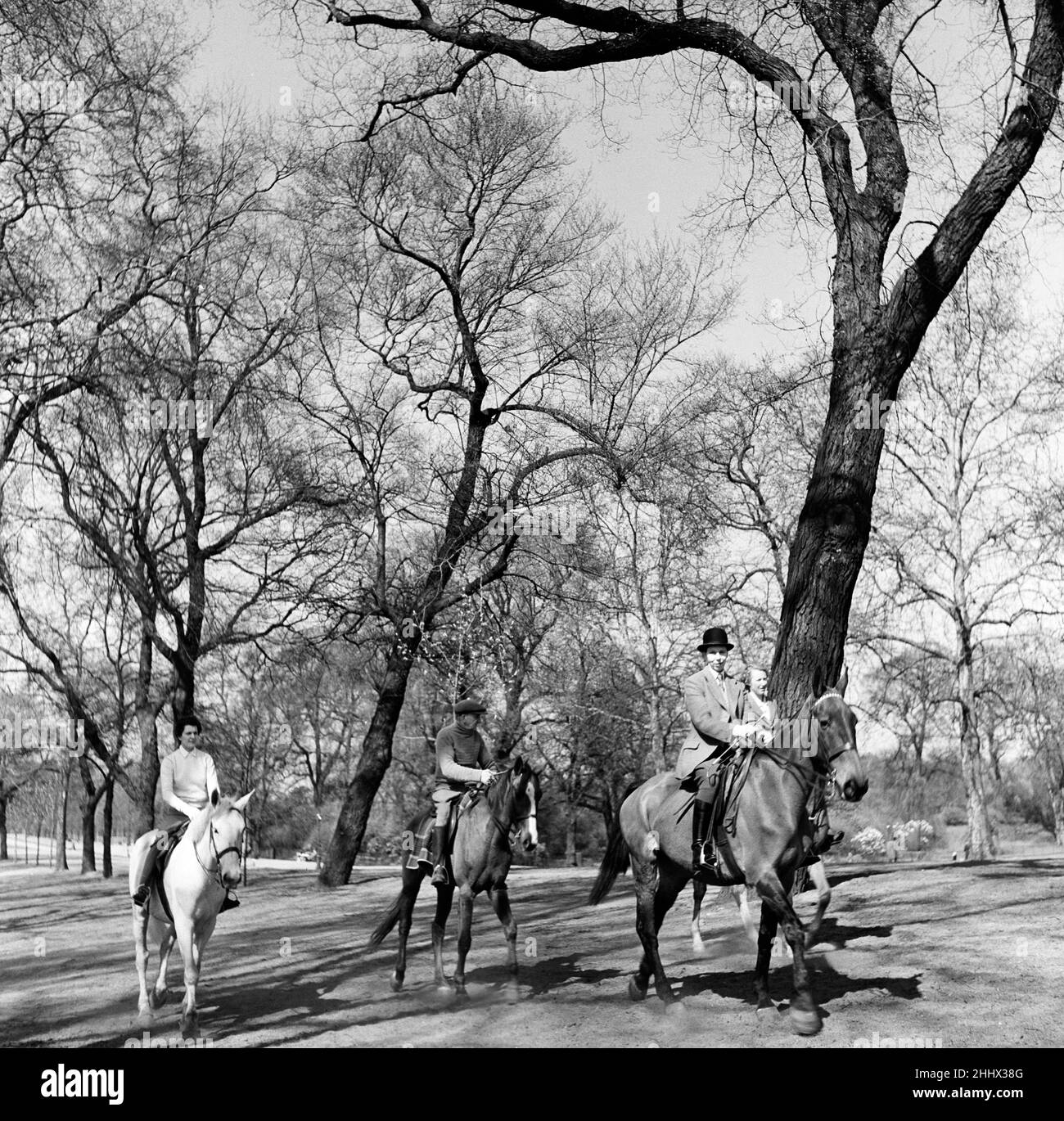 Équitation sur Rotten Row, Hyde Park, Londres.22nd avril 1954. Banque D'Images
