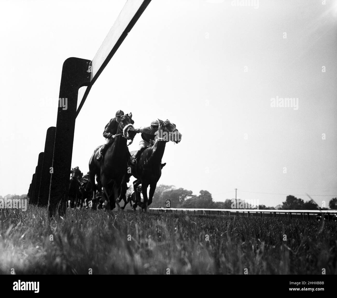 Course à Windsor.Lester Piggott à cheval sur « Happy Worker » dans la course de 3,0 qu'il a gagné.2nd juin 1955. Banque D'Images