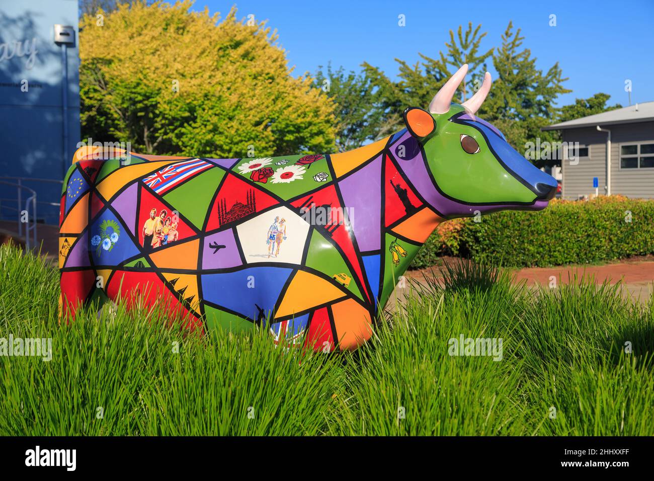 Une sculpture colorée nommée « la vache à globulines » à Morrinsville, en Nouvelle-Zélande, l'une des nombreuses sculptures de vache de la ville Banque D'Images