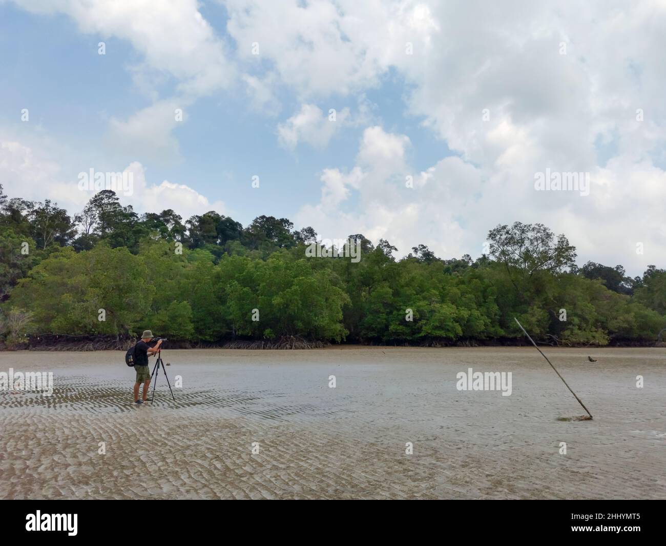 Photographe de la nature en action.Seul le voyageur prend des photos du paysage marin sur fond de forêt de mangrove.Backpacker prendre la photo sur le sable à marée basse être Banque D'Images