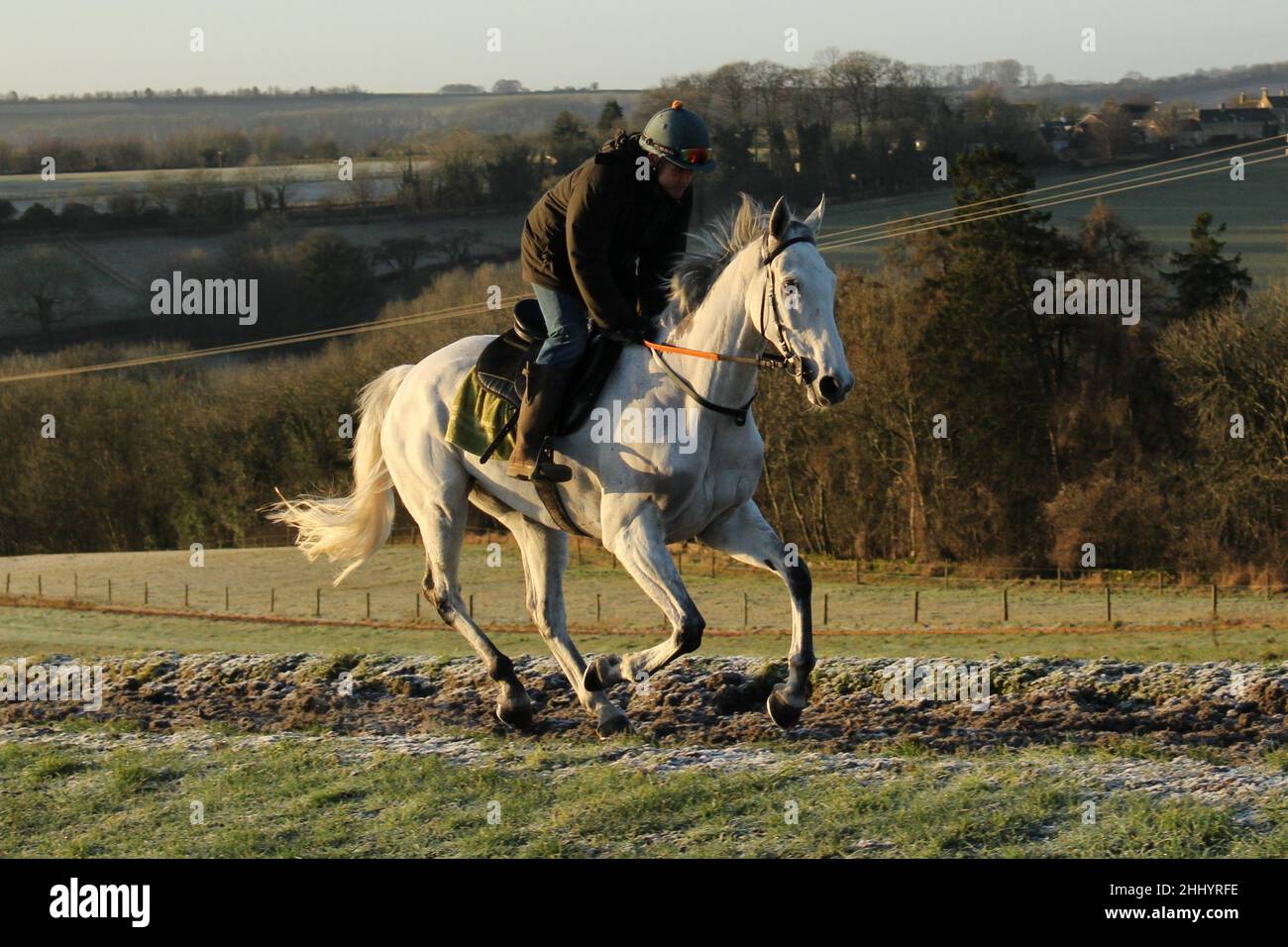 Bristol de Mai cand le galop à Grange Hill Farm, Nigel Twiston-Davies, Cotswold Banque D'Images