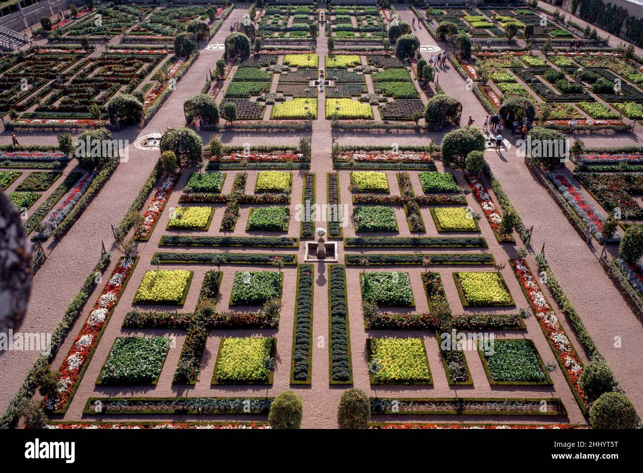 Villandry, Château de Villandry, Gemüsegarten Banque D'Images