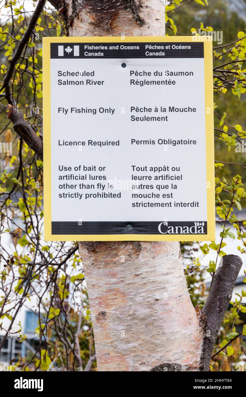 Panneau de la rivière Salmon sur la rivière Trouty, Terre-Neuve. Banque D'Images