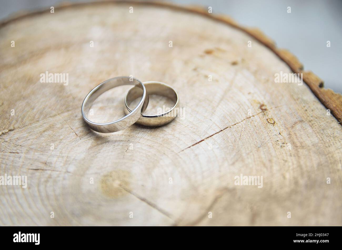 Deux anneaux de mariage en or blanc reposent sur le chauffage naturel du bois.Concept de mariage écologique.Accessoires pour mariée et marié, style boho rustique. Banque D'Images