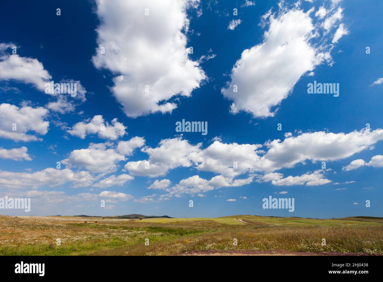 Nuages, nuages de bonne météo et paysage de pâturage ouvert, Castro Verde, Alentejo, Portugal Banque D'Images