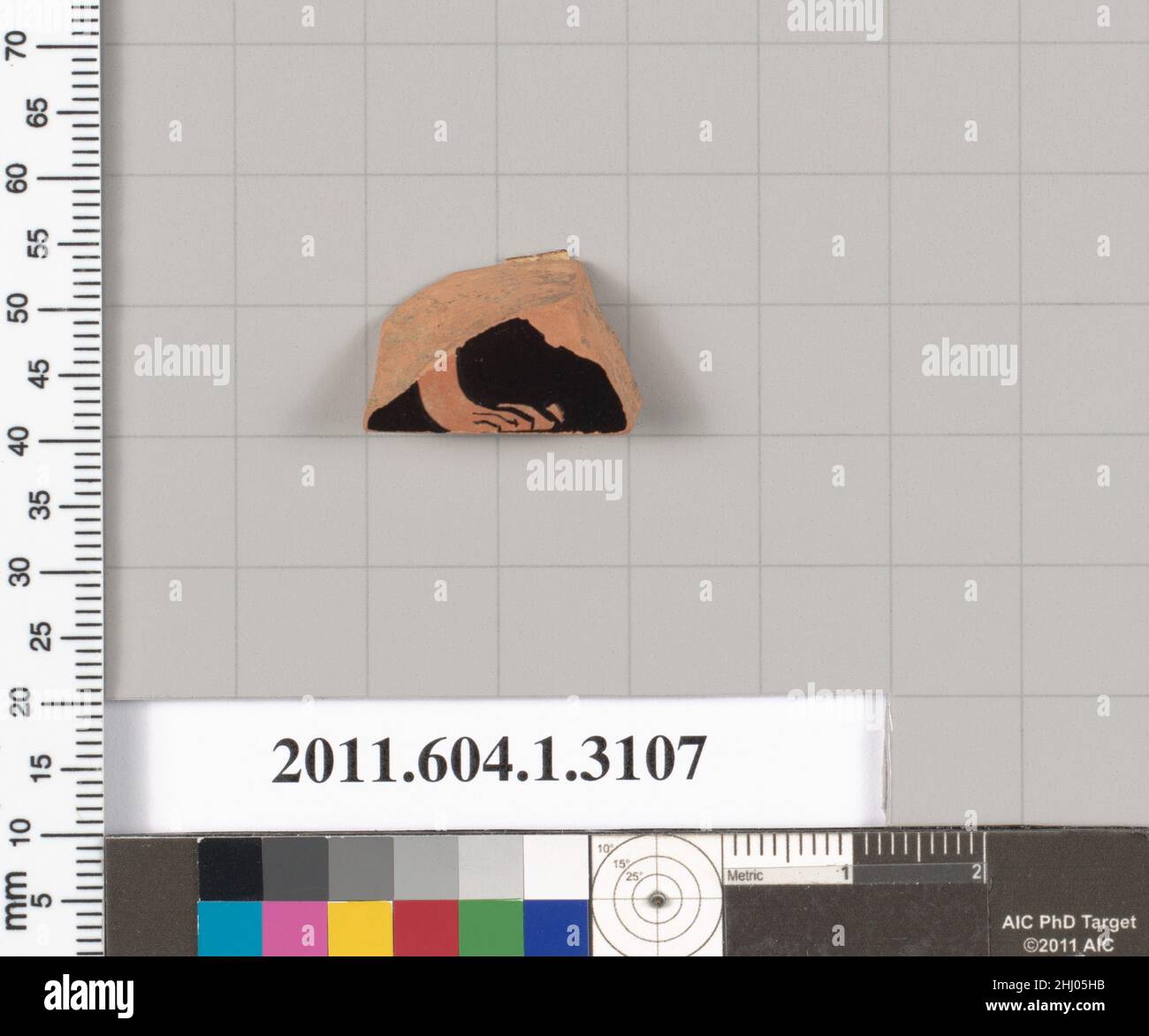 Fragment de terre cuite d'un kylix (tasse à boire) fin du sixième siècle C.-B. grec, intérieur Attique, paw d'animaux; extérieur, partie de la poignée palmette.Fragment de terre cuite d'un kylix (gobelet) 691660 Banque D'Images