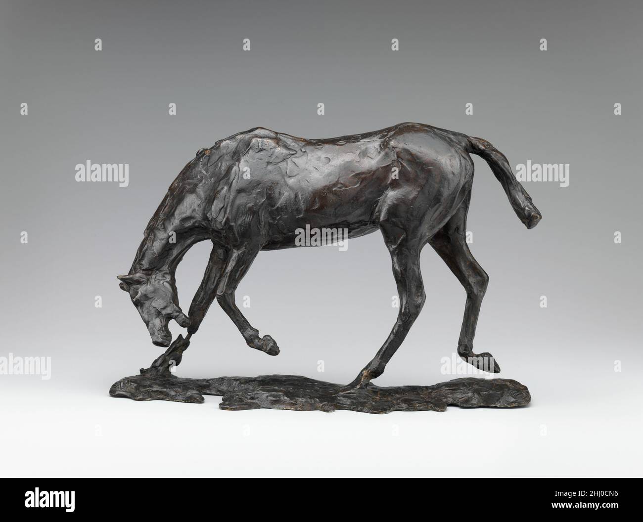 Cheval avec tête abaissée modélisée probablement ca.1883–90, coulée 1920 Edgar Degas French à la mort de Degas en 1917, plus de 150 sculptures figuratives ont été trouvées dans son studio.La plupart étaient faits de cire fragile, d'argile et de plastiline (un matériau de modélisation à base de cire et d'huile).Beaucoup se sont détériorés.Seulement quelques-uns ont été conservés dans des copies qui avaient été moulées à partir d'eux dans le plâtre.À l’exception de la cire Little quatorze ans-Old Dancer (Washington: NGA) aucune de ces sculptures n’avait été exposée publiquement pendant la vie de l’artiste.bien que Degas n’ait pas favorisé la reproduction de ses sculptures dans des materi plus permanents Banque D'Images