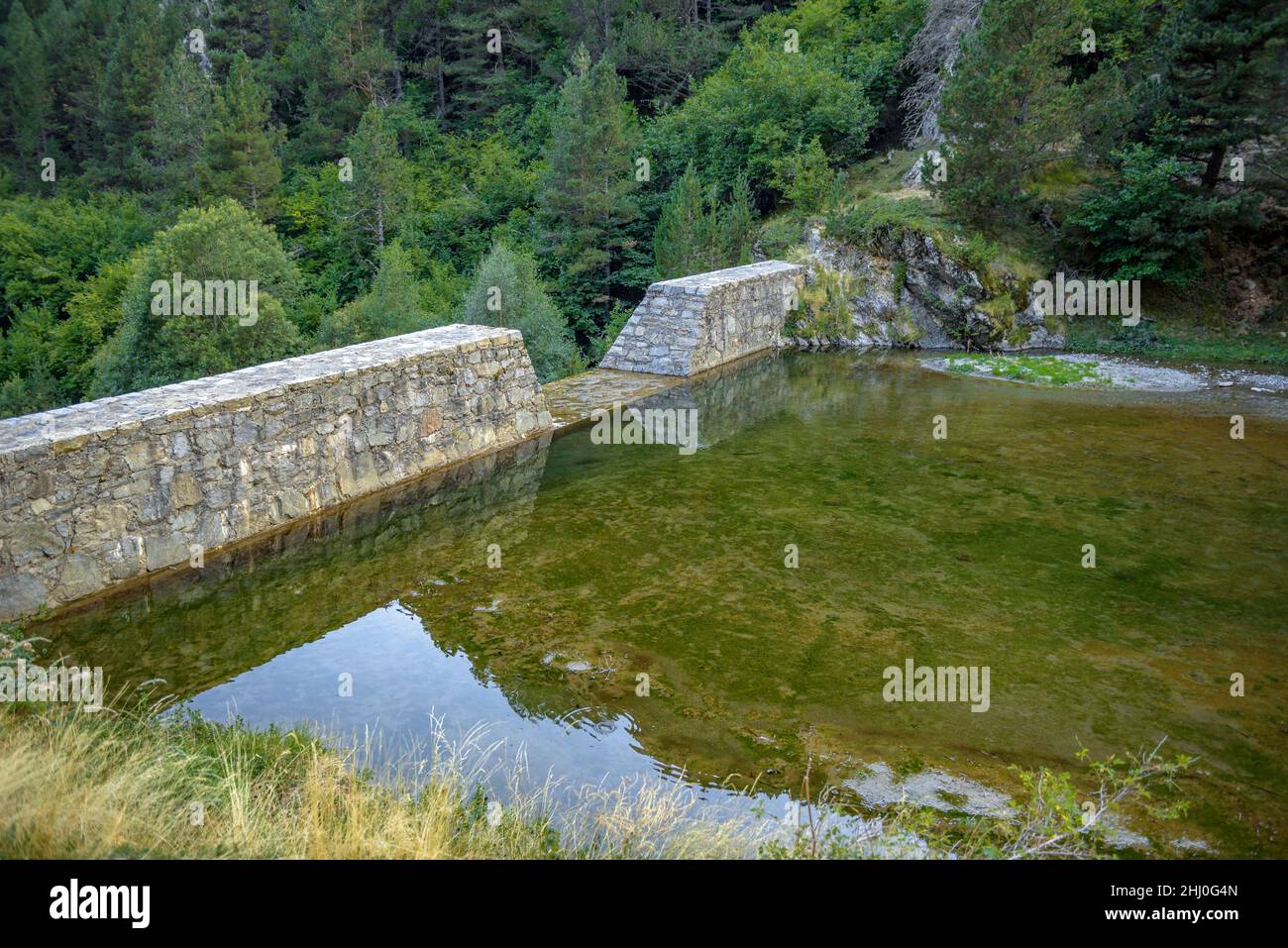 Vallée de Setúria en été (Andorre, Pyrénées) ESP: Vallée de Setúria en verano (Andorre, Pirineos) FR: Vallée de Setúria en éte (Andorre, Pyrénées) Banque D'Images