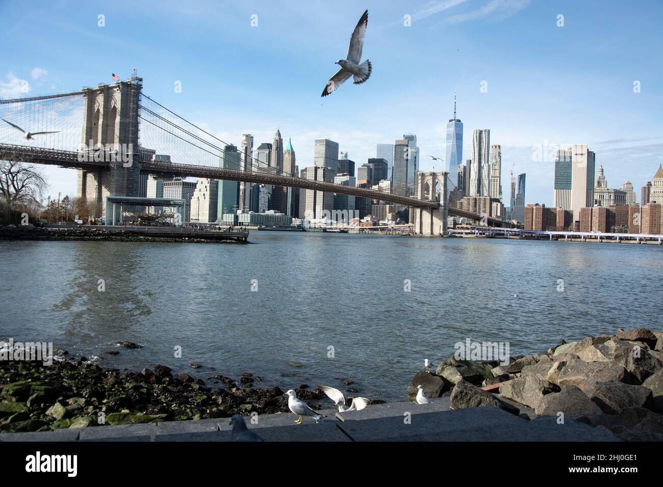 Brooklyn's Waterfront mit der Brooklyn Bridge et der Manhattan Skyline Banque D'Images