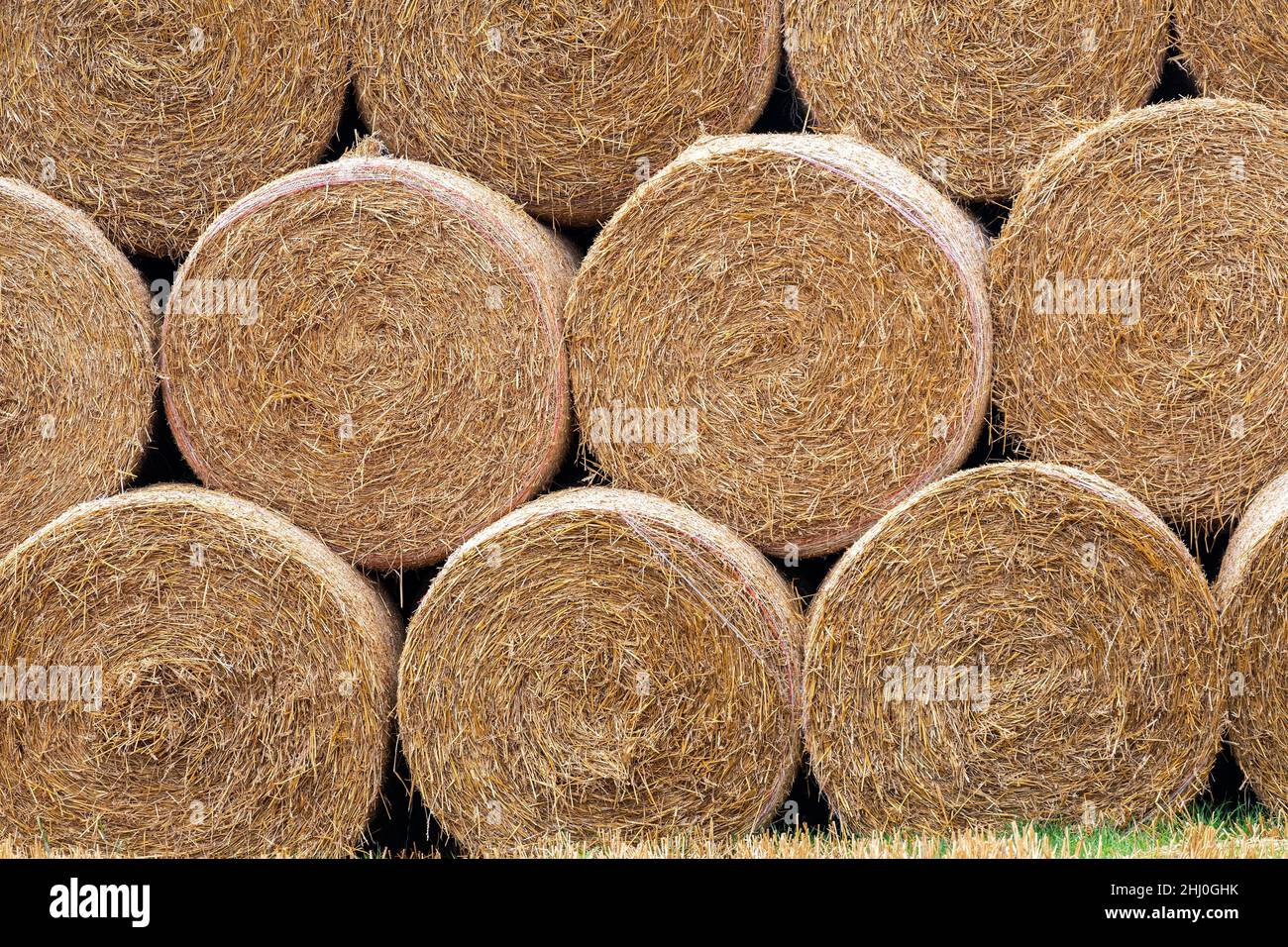 Pile de grosses balles rondes de paille.North Yorkshire, Royaume-Uni. Banque D'Images