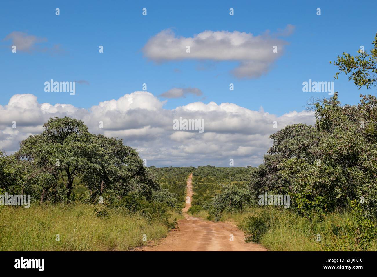 Paysage et paysage du parc national Kruger Banque D'Images