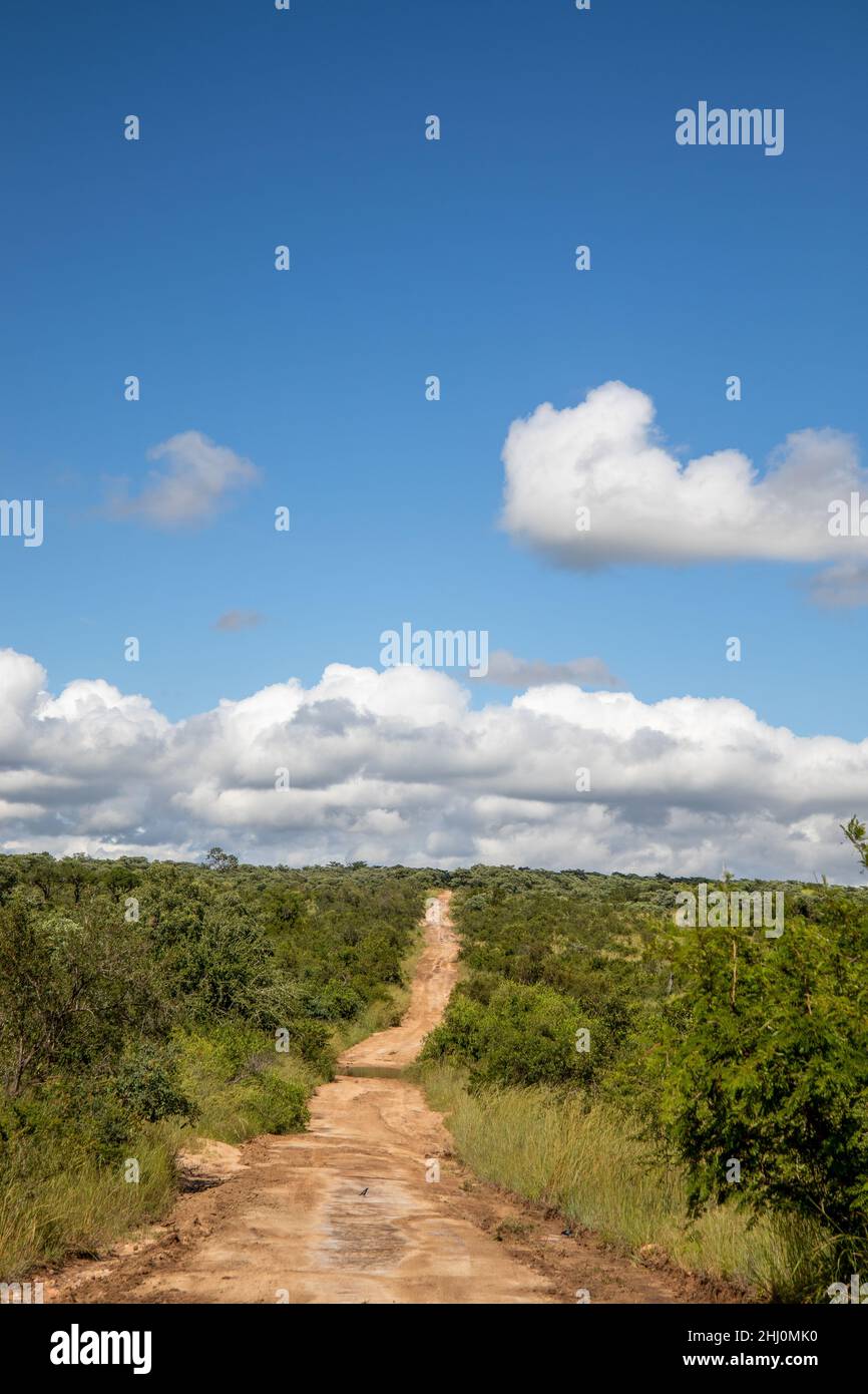 Paysage et paysage du parc national Kruger Banque D'Images