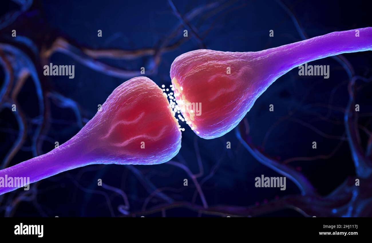 Les cellules Synapse et Neurone envoient des signaux chimiques électriques .3D illustration Banque D'Images