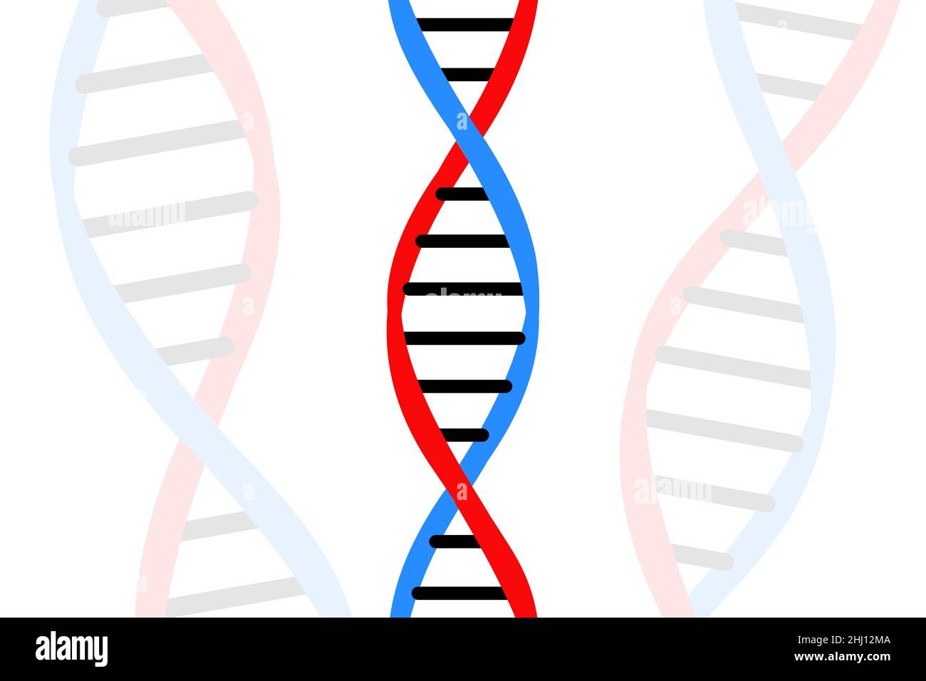Structure de l'ADN isolée.Biologie ou biotechnologie résumé illustration fond.Section transversale de l'anatomie des cellules humaines Banque D'Images