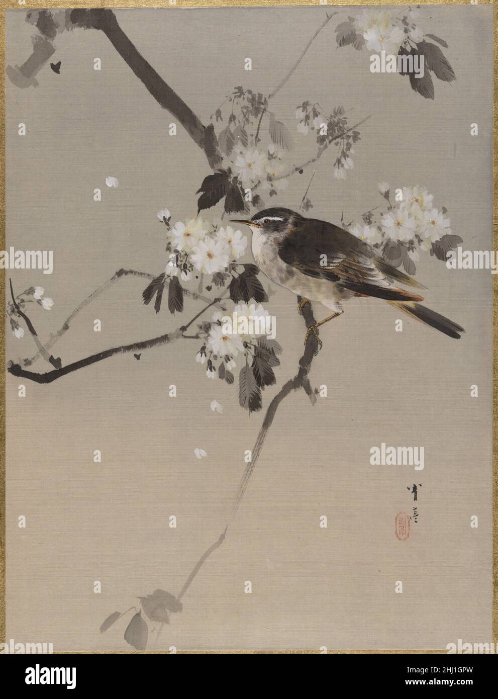 Oiseaux sur une branche florale ca.1887 Watanabe Seitei Japonais.Oiseaux sur une branche de floraison 54644 Banque D'Images