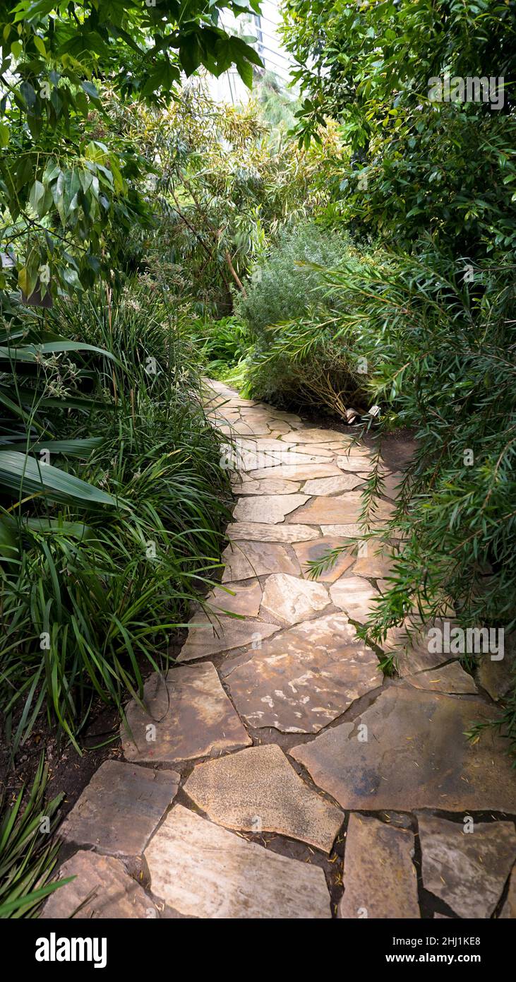 Chemin en pierre à l'intérieur du jardin botanique de Tallinn, Estonie, beaucoup de verdure et de plantes tropicales Banque D'Images