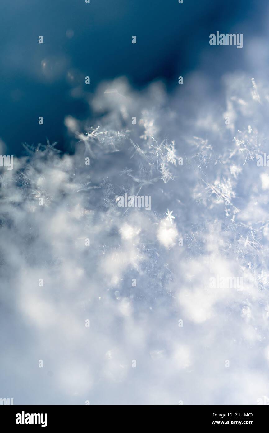 Beaucoup de petits flocons de neige sur fond bleu, hiver enneigé, gros plan, orientation verticale Banque D'Images