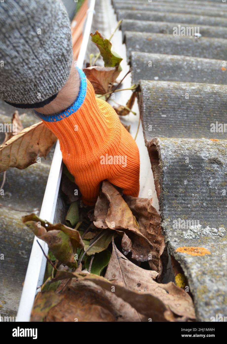 Nettoyage des gouttières. Nettoyage de la gouttière de toit obstruée Banque D'Images