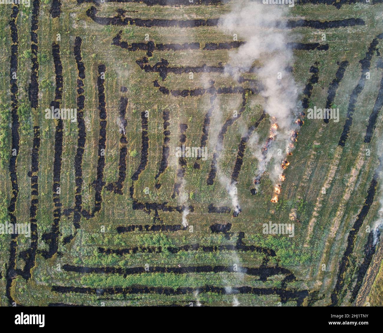 Vue de dessus en bas du feu sur le champ après la récolte Banque D'Images