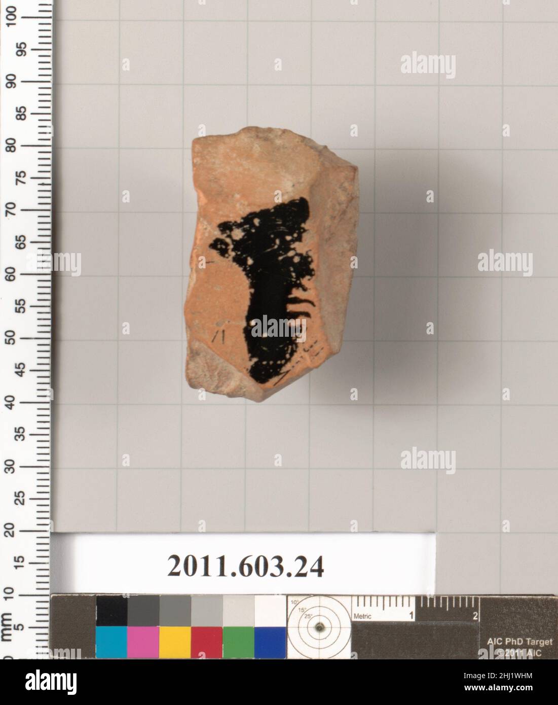 Fragment d'une terre cuite kylix fin 6th/début 5th siècle C.-B. grec, intérieur Attique, épaule gauche, bras supérieur, et doigts de la main gauche d'un mâle, tenant une lyre?.Fragment d'un kylix en terre cuite 259168 Banque D'Images