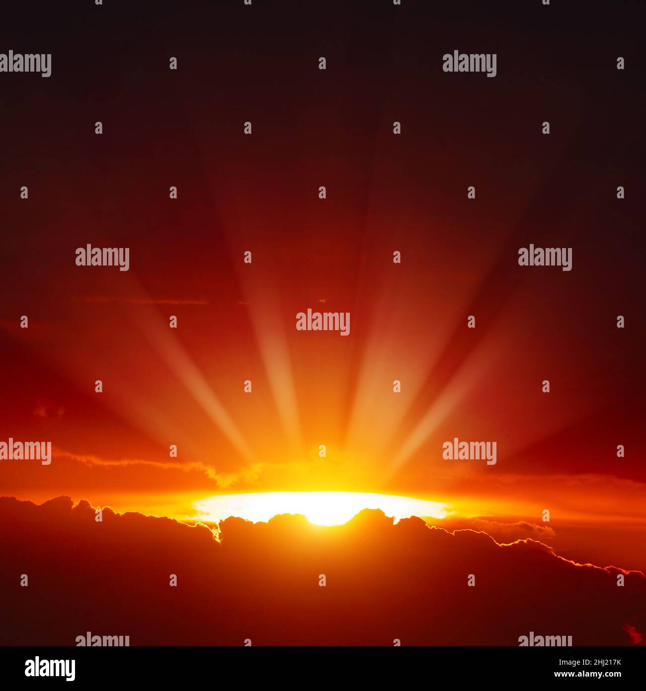 Coucher de soleil majestueux avec des rayons de soleil lumineux sur le ciel rouge sombre. Banque D'Images