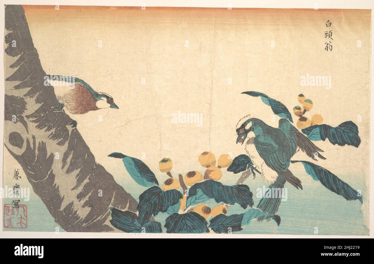 Oiseaux et fleurs Keisai Eisen Japonais.Oiseaux et fleurs.Keisai Eisen (japonais, 1790–1848).Japon.Imprimé bois; encre et couleur sur papier.Période Edo (1615–1868).Imprime Banque D'Images