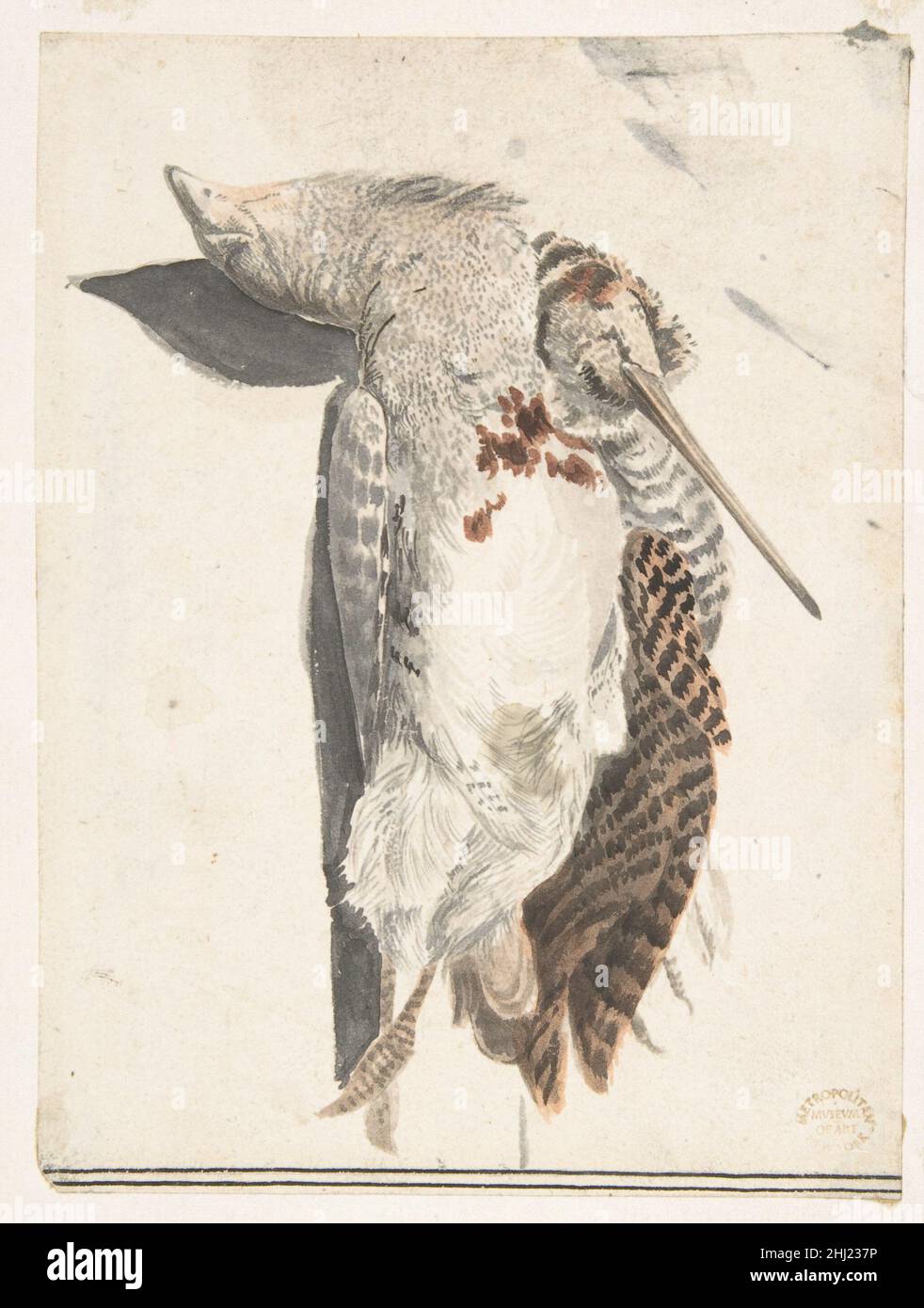 Deux oiseaux morts (Un caille et un oiseau à long bec).1685–1755 Comte Giorgio Durante (Duranti) Italien.Deux oiseaux morts (Un caille et un oiseau à long bec).Comte Giorgio Durante (Duranti) (Italien, Palazzolo (?)1685–1755 Palazzolo).1685–1755.Badigeonner de gris, noir, marron et orange clair sur graphite.Traces de lignes de cadrage dans le stylo et encre noire sur les bords gauche et droit.Mises en plan Banque D'Images
