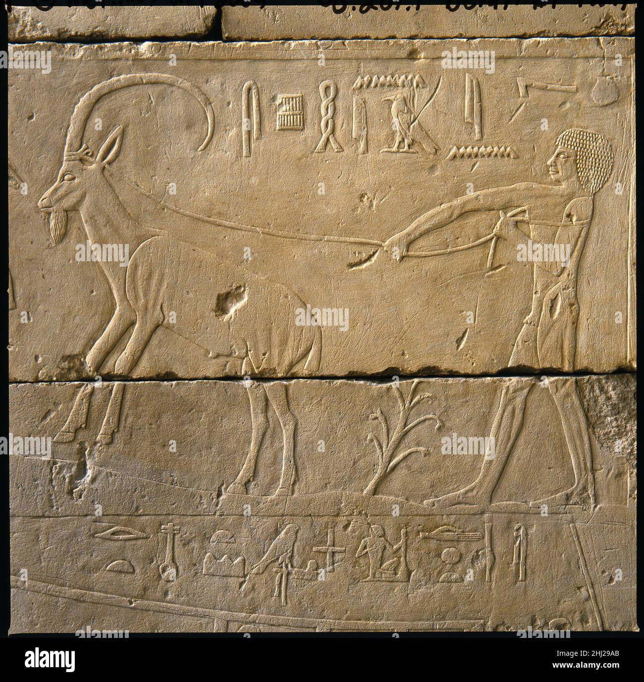 Chapelle tombeau de Raemkai : mur du Sud ca.2446–2389 C.-B. Vieux Royaume LE SUD Wallin une chapelle tombale comme celle de Raemkai, dont l'entrée est située dans la moitié nord du mur est, le mur sud est le plus éloigné de l'entrée.La plupart des représentations sur les murs sud de ces chapelles reflètent cet emplacement le plus intérieur.Par exemple, la liste traditionnelle de l'offre dans sa grille ancienne apparaît souvent sur le mur sud du tombeau.Cependant, il est assez rare que l'apparition sur un mur sud de deux thèmes supplémentaires choisis pour décorer la chapelle tombeau de Neferiretnes/Raemkai: La chasse dans le désert et le voyage en bateau Banque D'Images