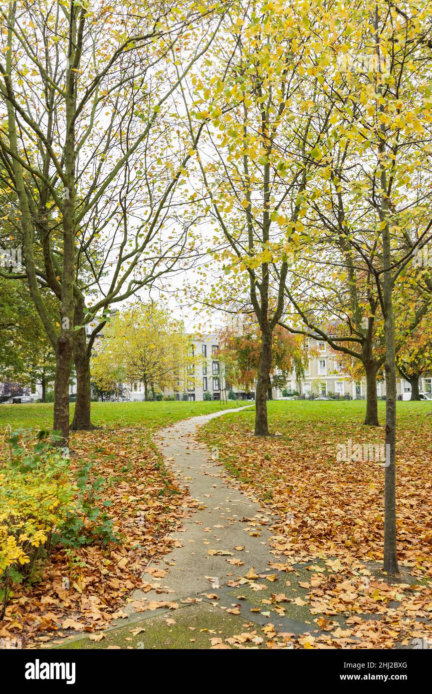Place de Montfort montrant un nouveau chemin de passage, zone herbeuse, bâtiments en arrière-plan.Affiche des lignes de feuilles d'automne orange vif. Banque D'Images