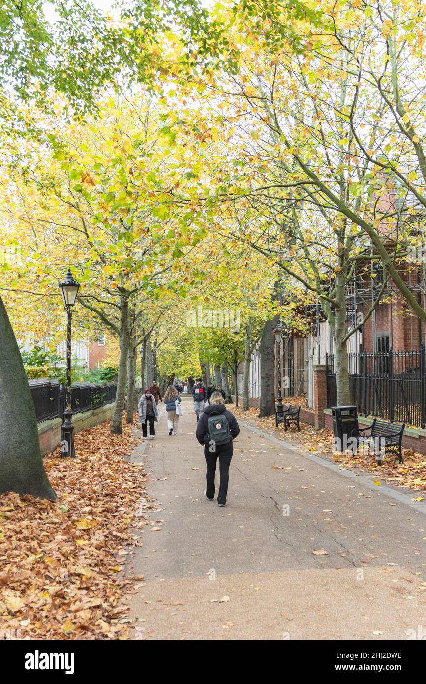 Nouvelle promenade, près de la rue Wellington, allée bordée d'arbres avec feuilles orange vif, jaunes et vertes dans les arbres.Les gens qui marchent de haut en bas. Banque D'Images