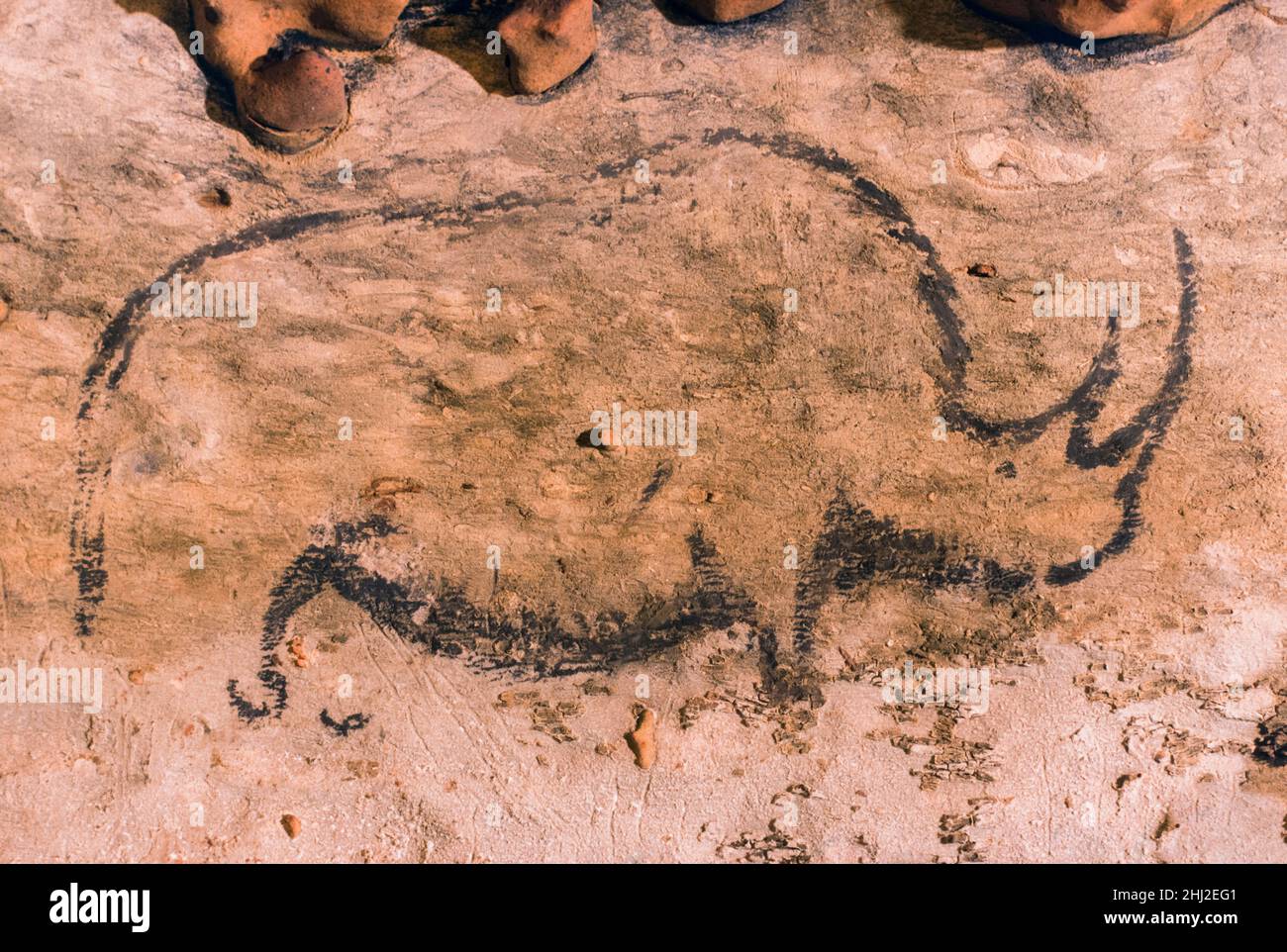 Peintures rupestres préhistoriques, rhinocéros laineux, Rouffignac, France Banque D'Images