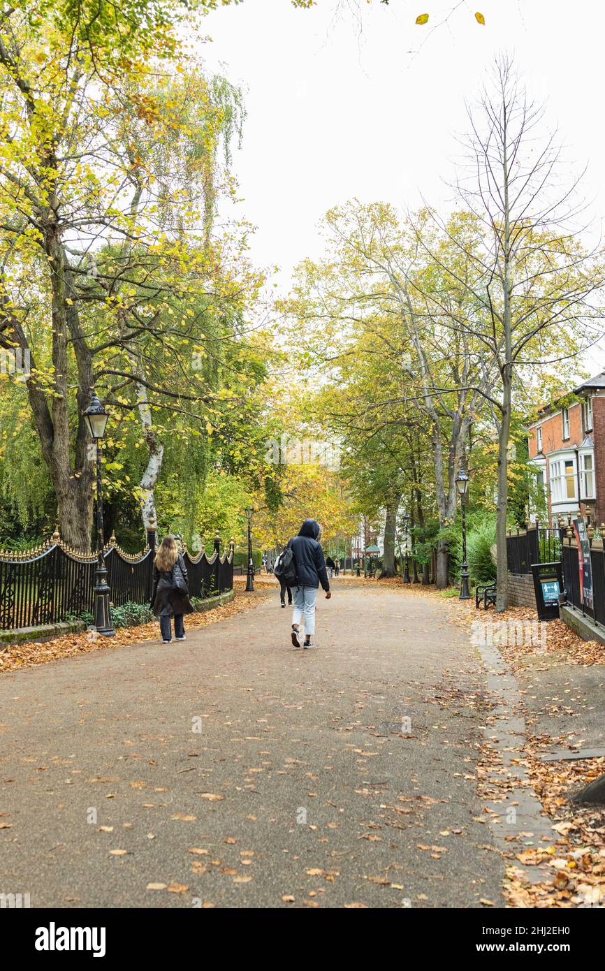Nouvelle promenade, montrant l'ovale, avec des feuilles jaune vif et orange dans les arbres.Ligne de feuilles d'automne orange sur le sol. Banque D'Images