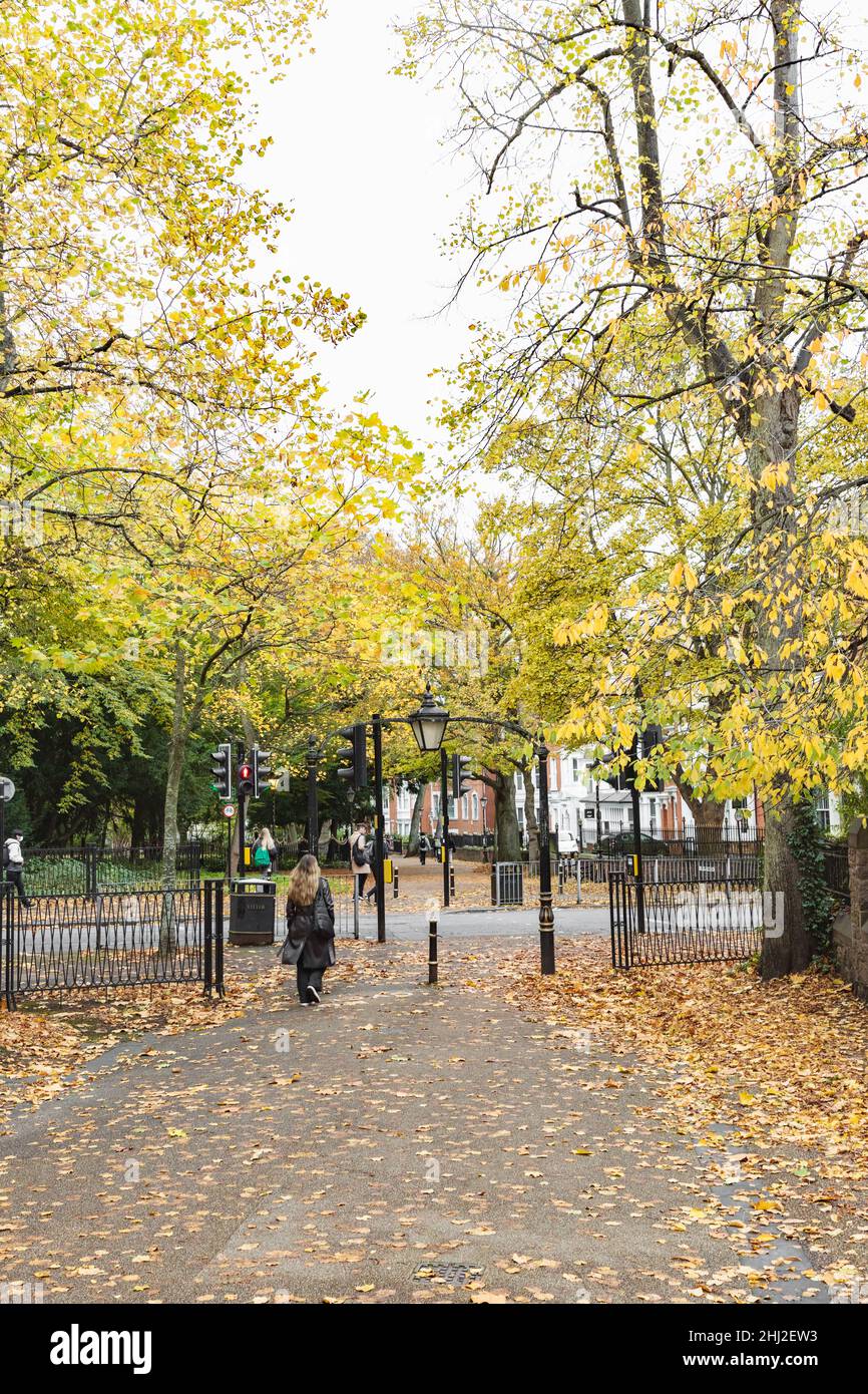 La photo qui mène à New Walk, à côté de University Road, montre une passerelle bordée d'arbres, des feuilles sur le sol et des personnes marchant vers le haut et le bas. Banque D'Images