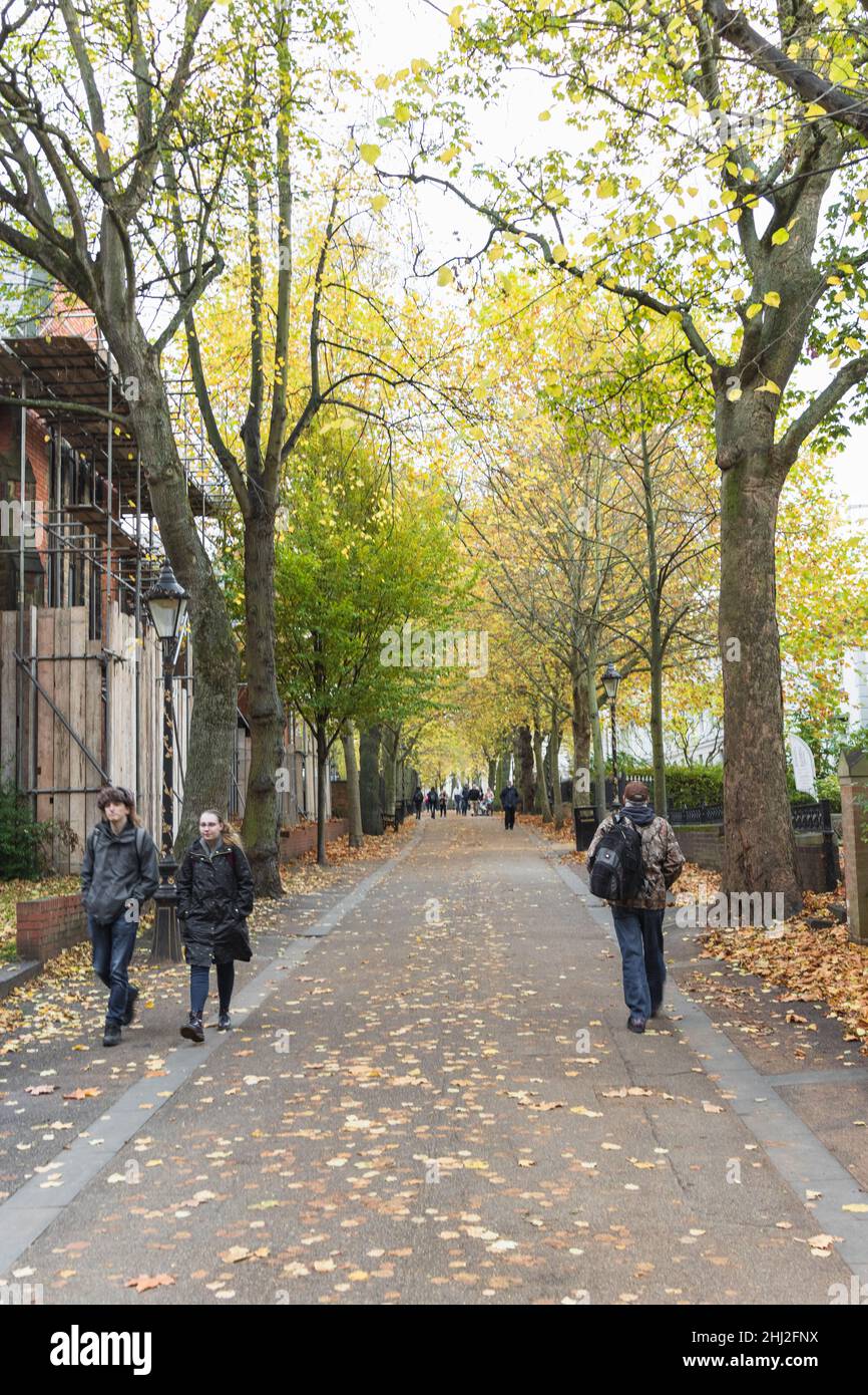Nouvelle promenade, près de la rue Wellington, avec des feuilles jaune vif et orange dans les arbres, et les gens marchant, de haut en bas.Passerelle avec feuilles au sol. Banque D'Images