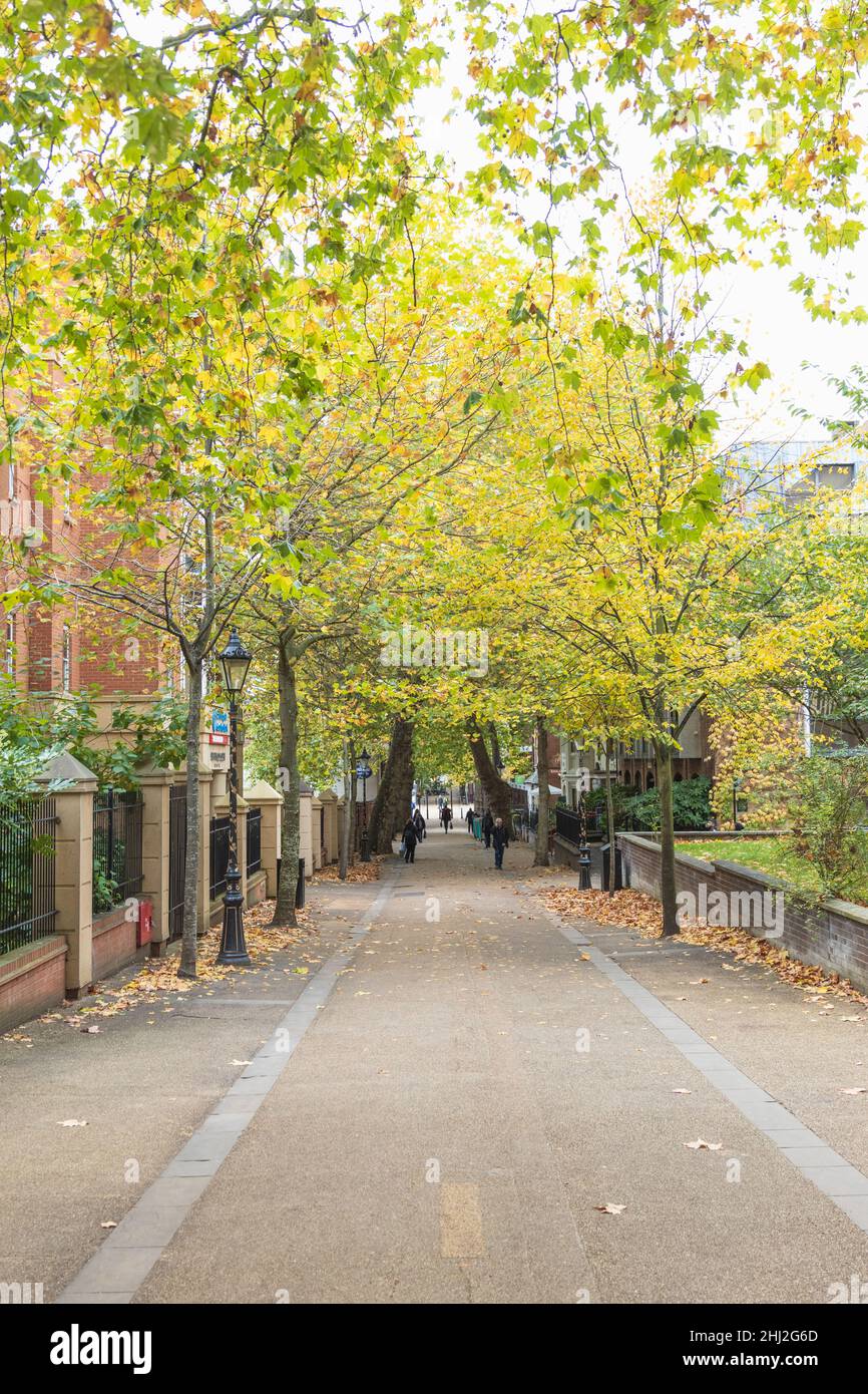 Nouvelle promenade, près de la rue Wellington, avec des feuilles jaune vif et orange dans les arbres, et les gens marchant, de haut en bas.Passerelle avec feuilles au sol. Banque D'Images