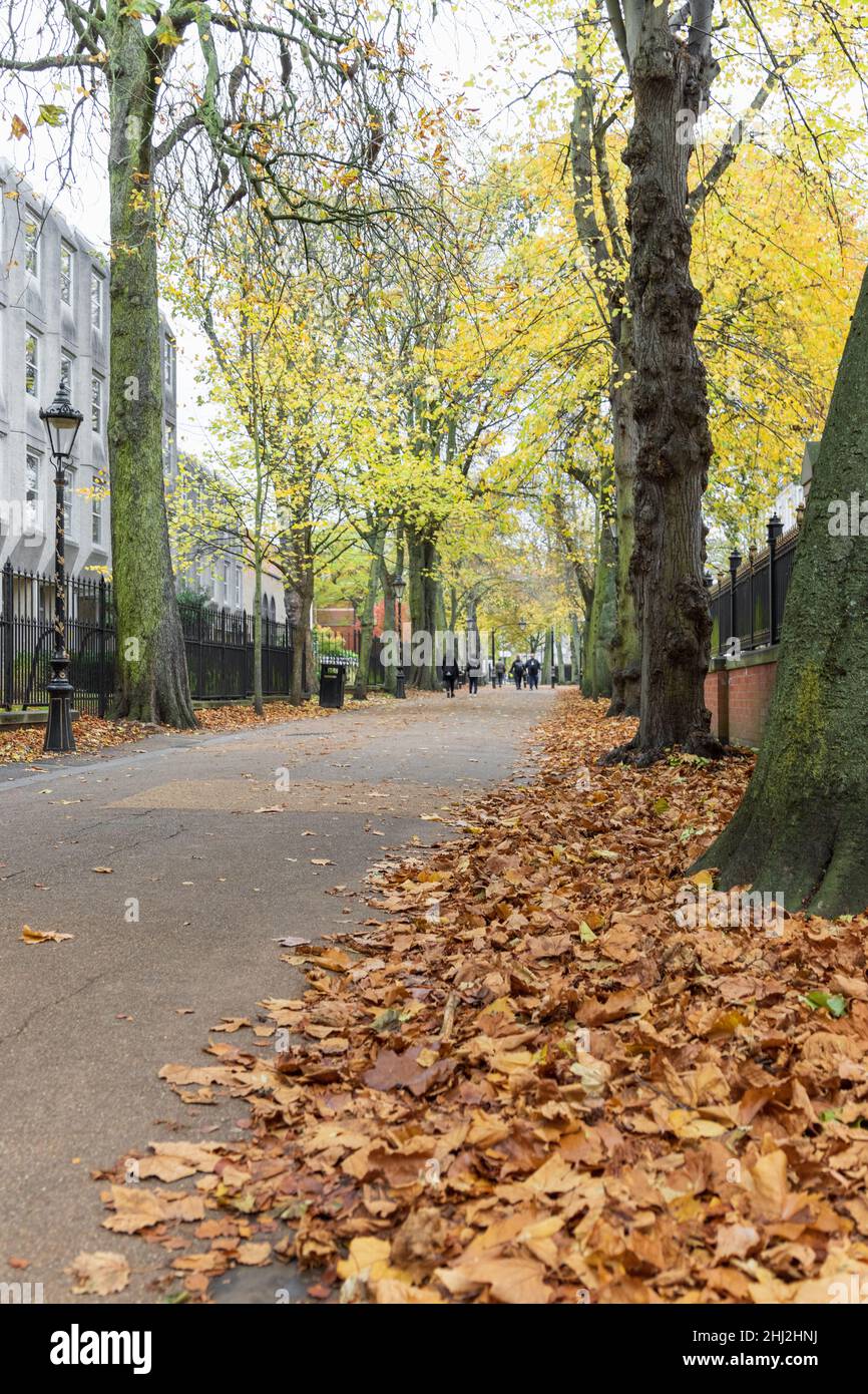 Nouvelle promenade, près de la rue Wellington, avec des feuilles jaune vif et orange dans les arbres, et les gens marchant, de haut en bas.Ligne de feuilles d'automne orange. Banque D'Images
