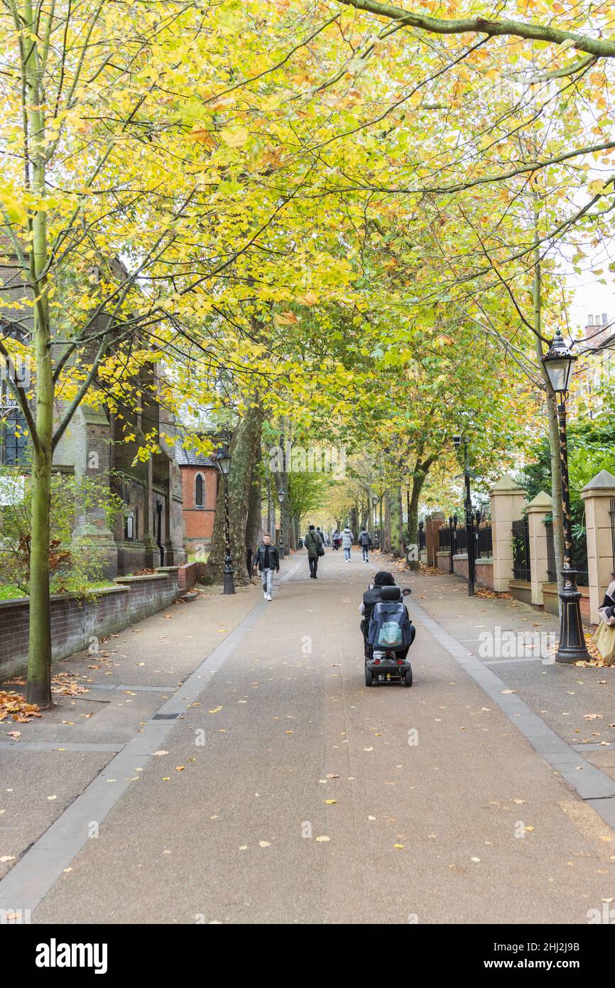 Nouvelle promenade, près de la rue Wellington, avec des feuilles jaune vif et orange dans les arbres, et les gens marchant, de haut en bas.Personne sur un scooter de mobilité. Banque D'Images