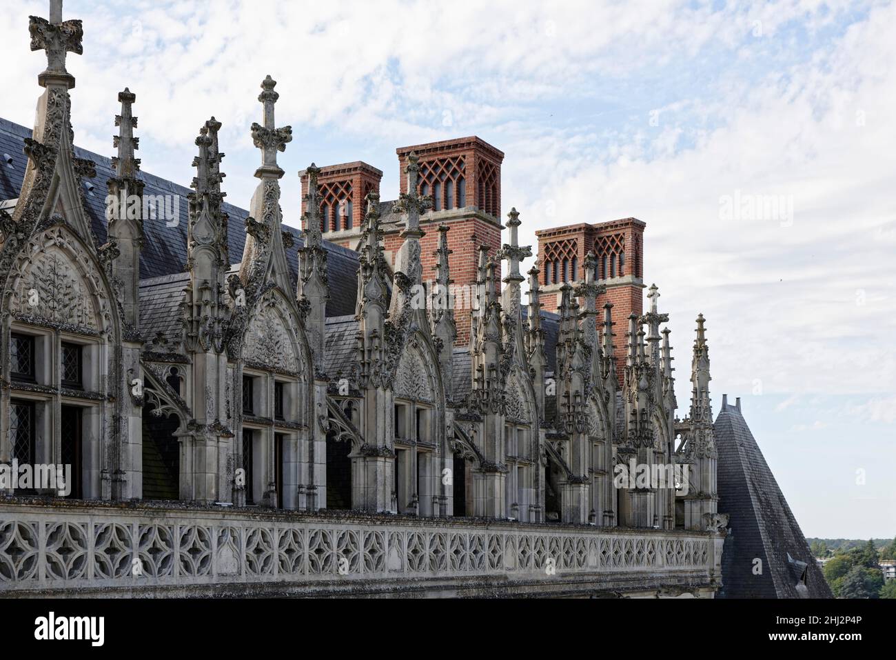 Château Royal Damboise, toit, Amboise, Centre, France Banque D'Images