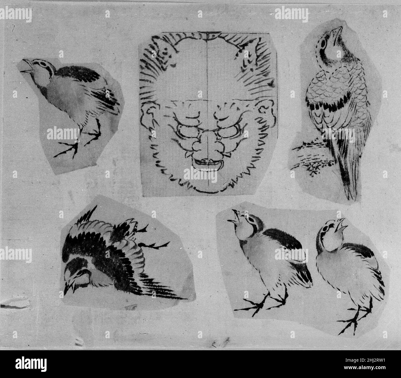 Quatre croquis d'oiseaux et un dessin pour un masque grotesque, monté ensemble 18th–19th Century School of Katsushika Hokusai Japanese.Quatre croquis d'oiseaux et un dessin pour un masque grotesque, montés ensemble 57292 Banque D'Images