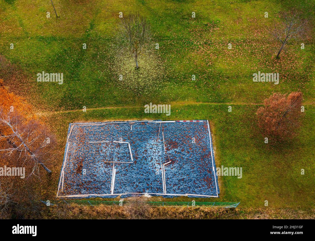 Tir de drone, arbres décidus de couleur automnale avec terrain de Beach-volley couvert, d'en haut, Zell am Moss am Irrsee, Salzkammergut, haute-Autriche Banque D'Images