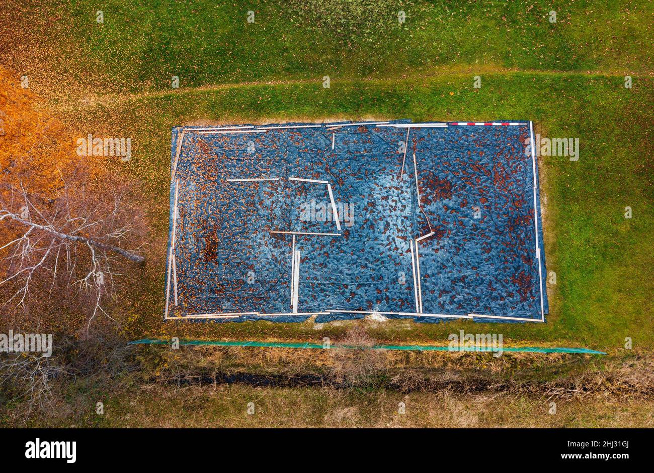 Tir de drone, arbres décidus de couleur automnale avec terrain de Beach-volley couvert, d'en haut, Zell am Moss am Irrsee, Salzkammergut, haute-Autriche Banque D'Images