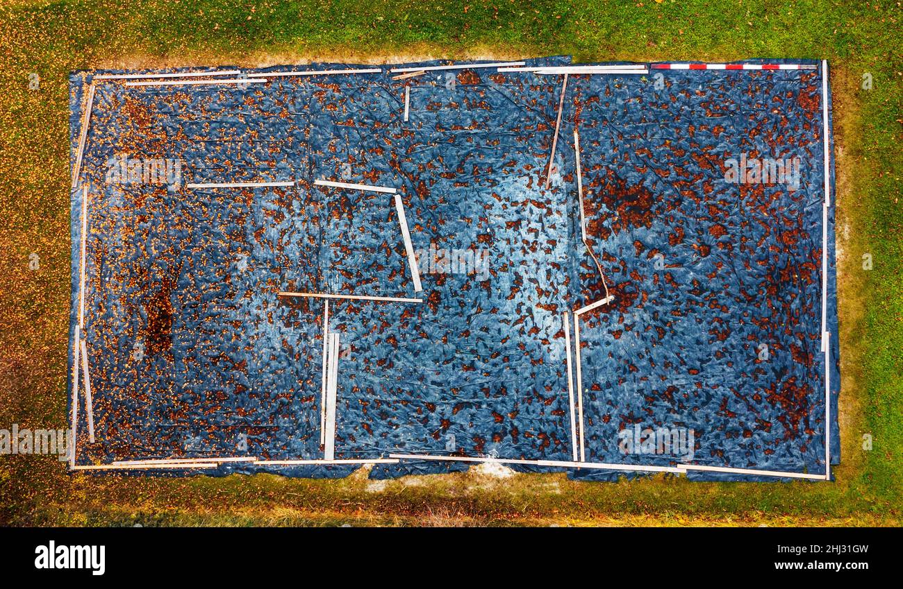 Tir de drone, terrain de Beach-volley couvert, d'en haut, Zell am Moss am Irrsee, Salzkammergut, haute-Autriche, Autriche Banque D'Images