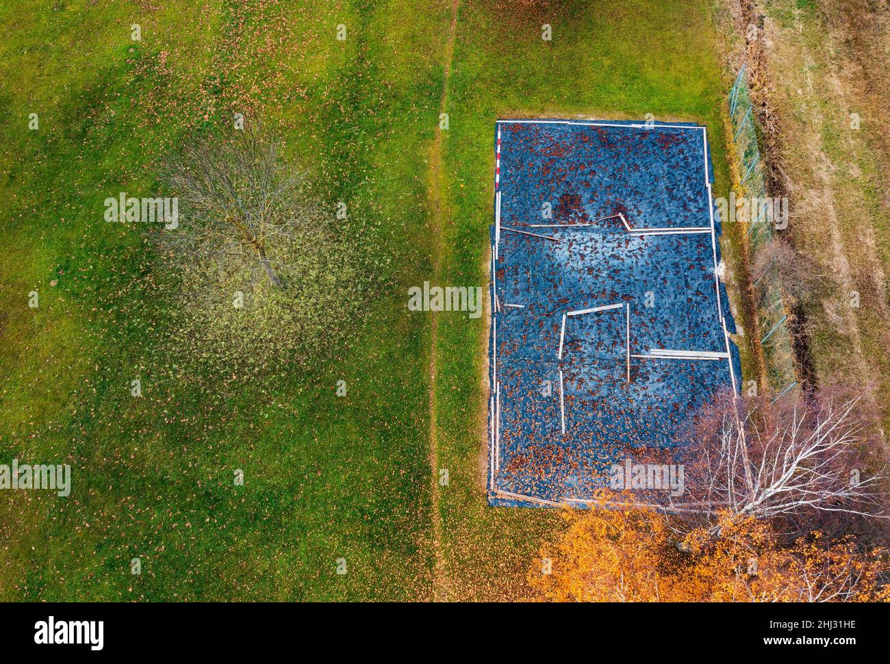 Tir de drone, arbres décidus de couleur automnale avec terrain de Beach-volley couvert, d'en haut, Zell am Moss am Irrsee, Salzkammergut, haute-Autriche Banque D'Images