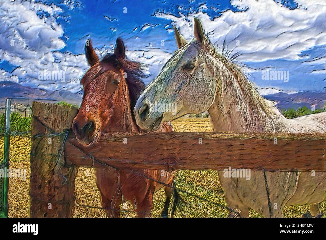 Des horsing autour - Un couple de chevaux curieux le long d'une route latérale à Big Pine, Californie, un blanc et un brun rougeâtre. Banque D'Images