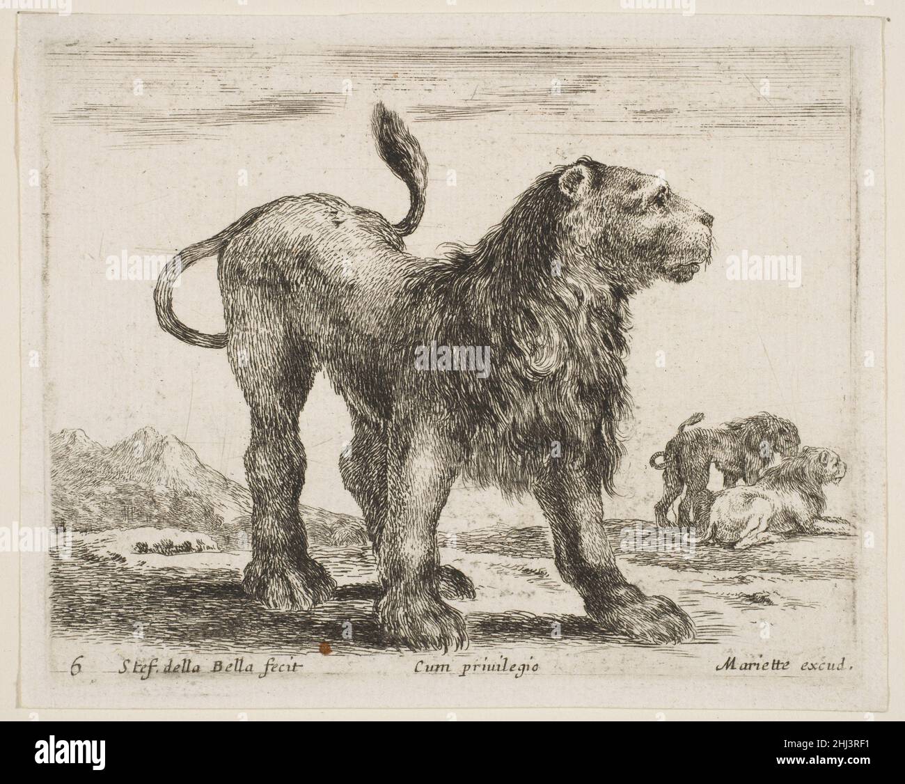 Assiette 6: lion, de 'divers animals' (Diversi animatili) ca.1641 Stefano della Bella Italien.Assiette 6: lion, de 'divers animals' (Diversi animatili) 377449 Banque D'Images