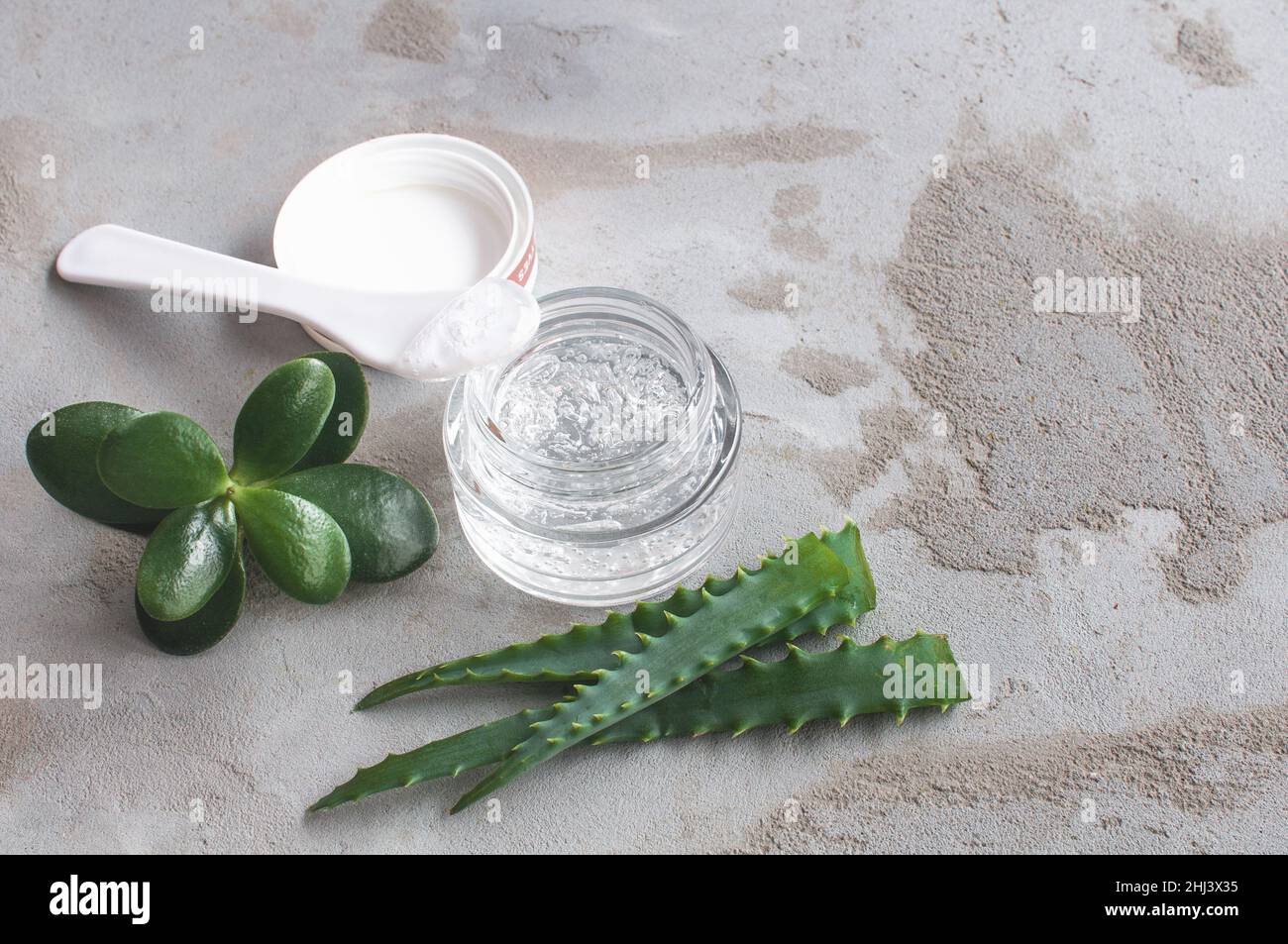 Texture de gel avec des bulles d'acide hyaluronique et des branches d'aloe vera dans un pot de verre sur un fond de béton Banque D'Images
